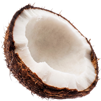 Coconut